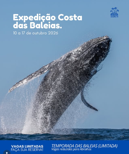 Captura de tela 2026-03-31 144133